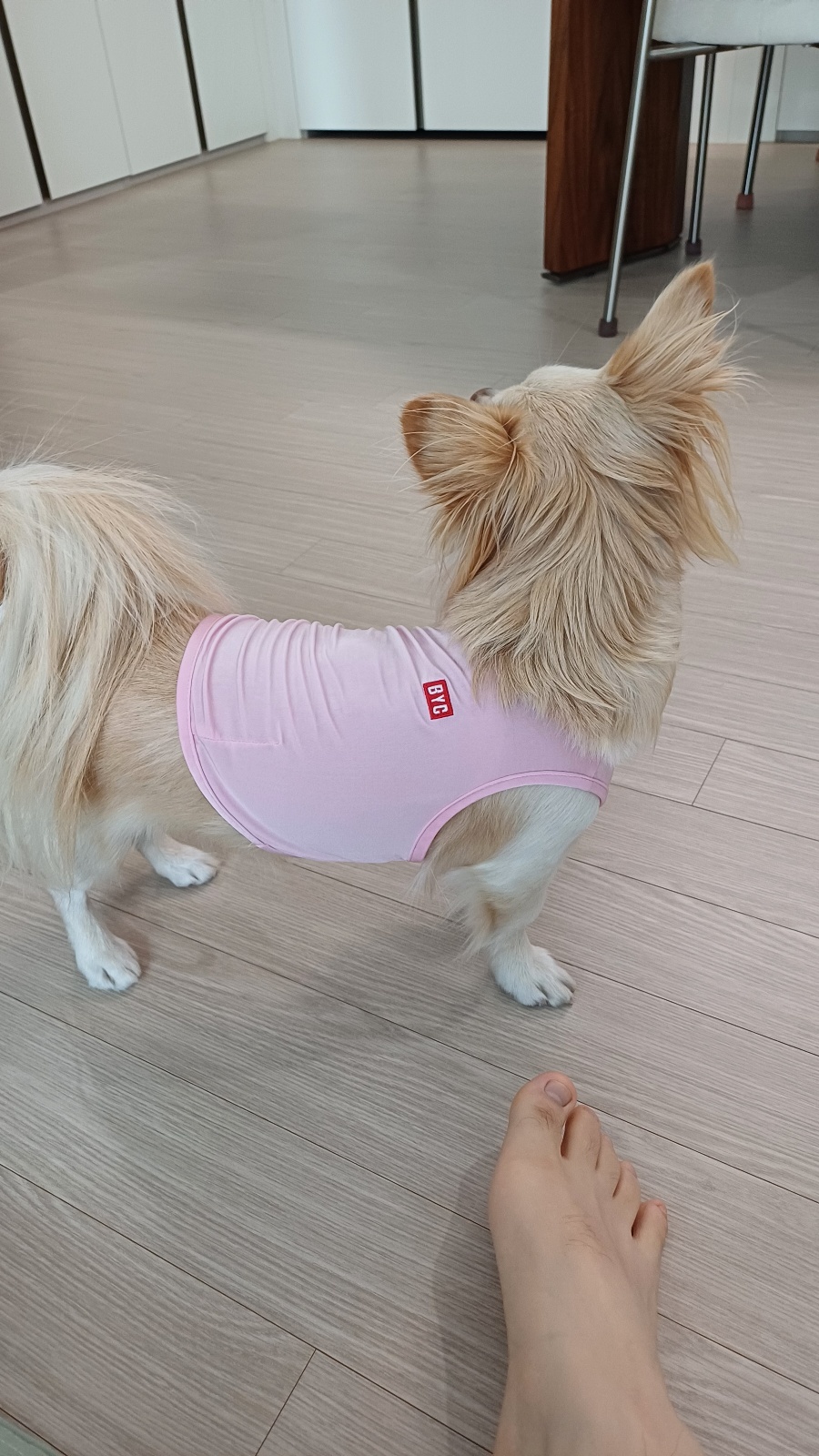보리 2.jpg