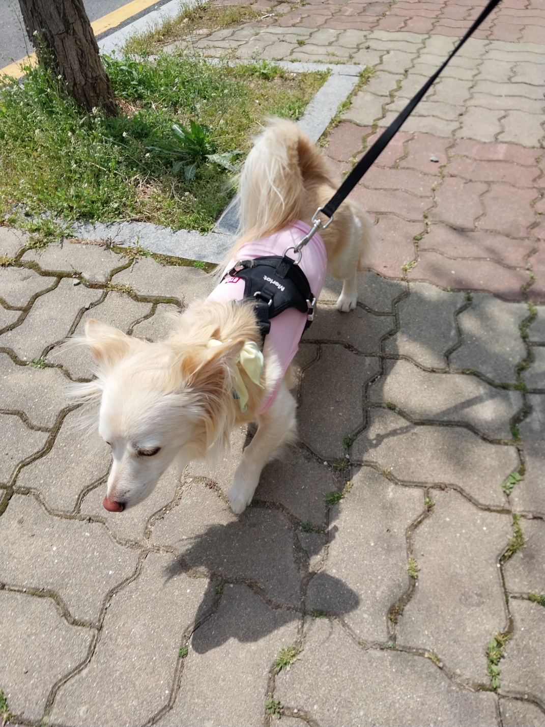 KakaoTalk_20250416_152417209_06.jpg