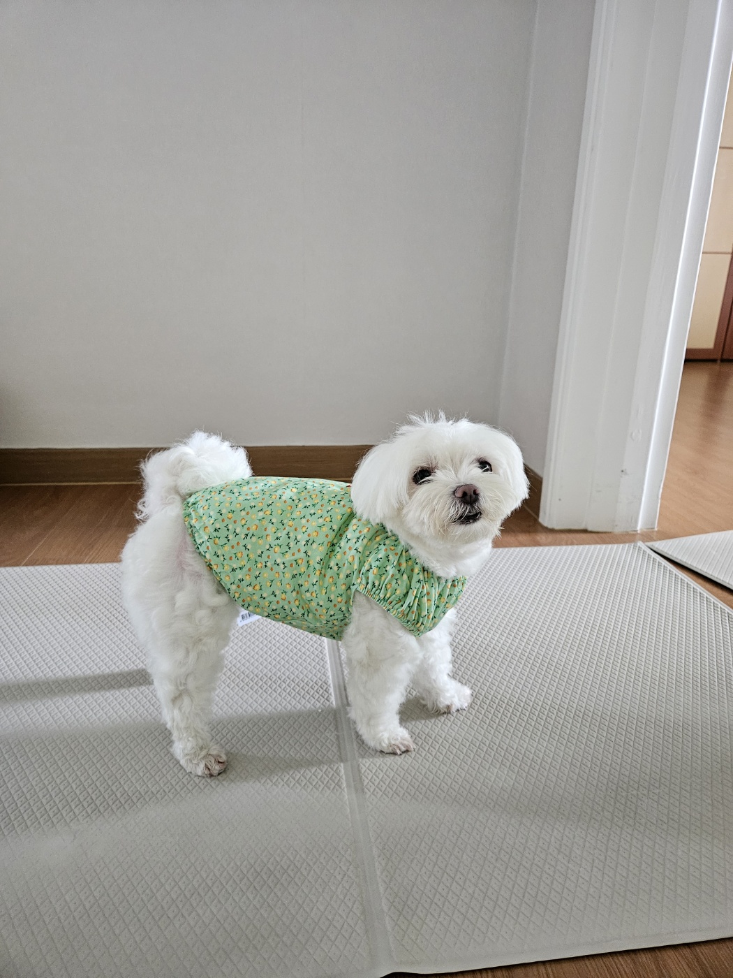 KakaoTalk_20240724_100319776_06.jpg