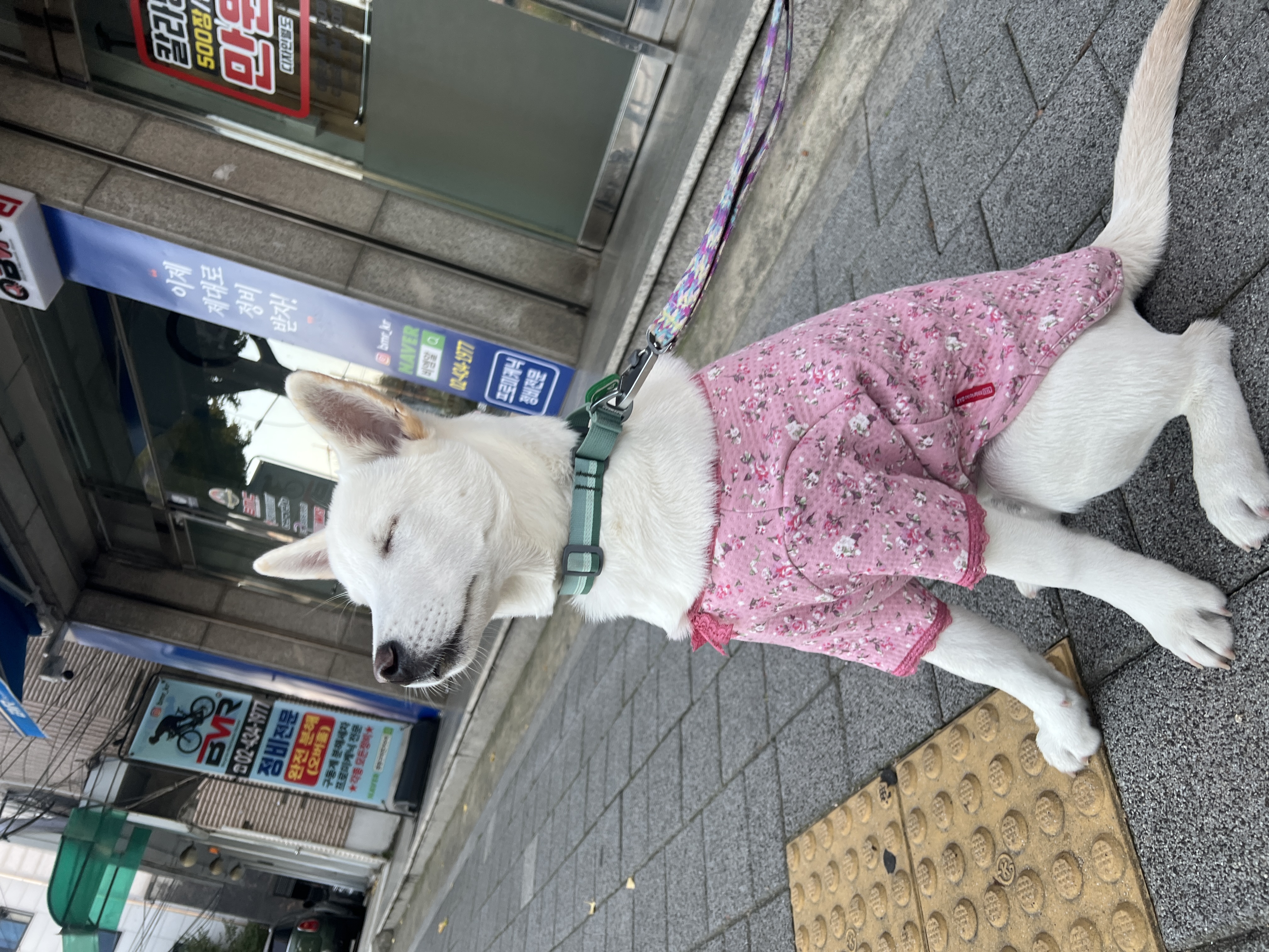 IMG_2053.jpeg