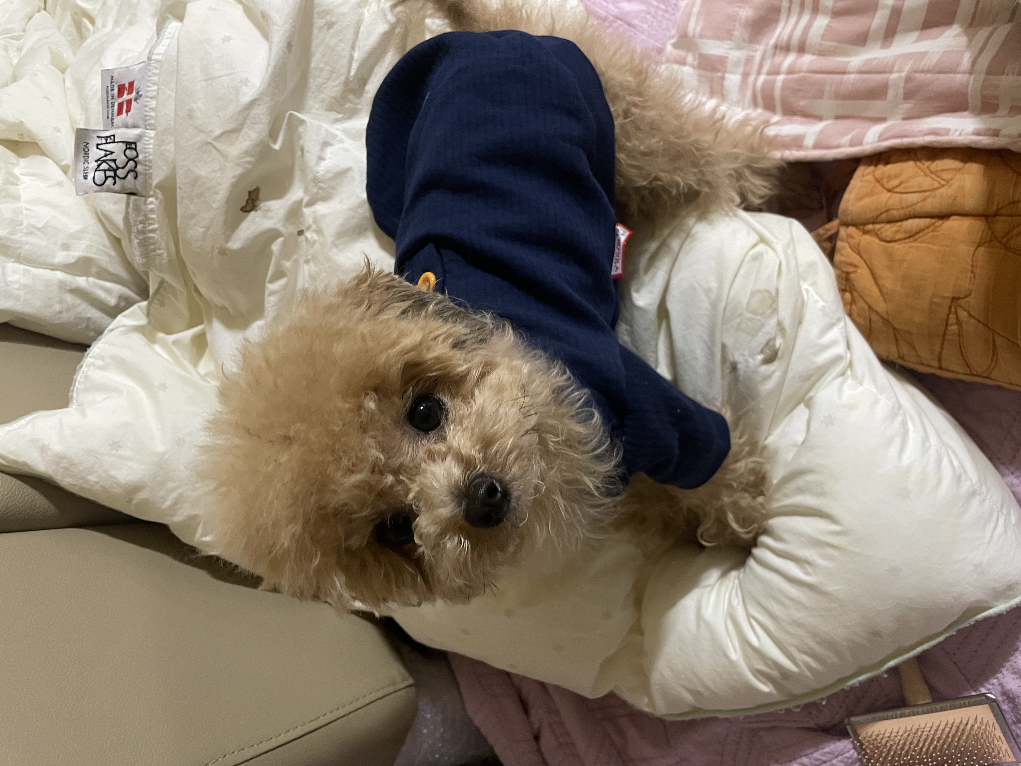 IMG_8829.jpeg