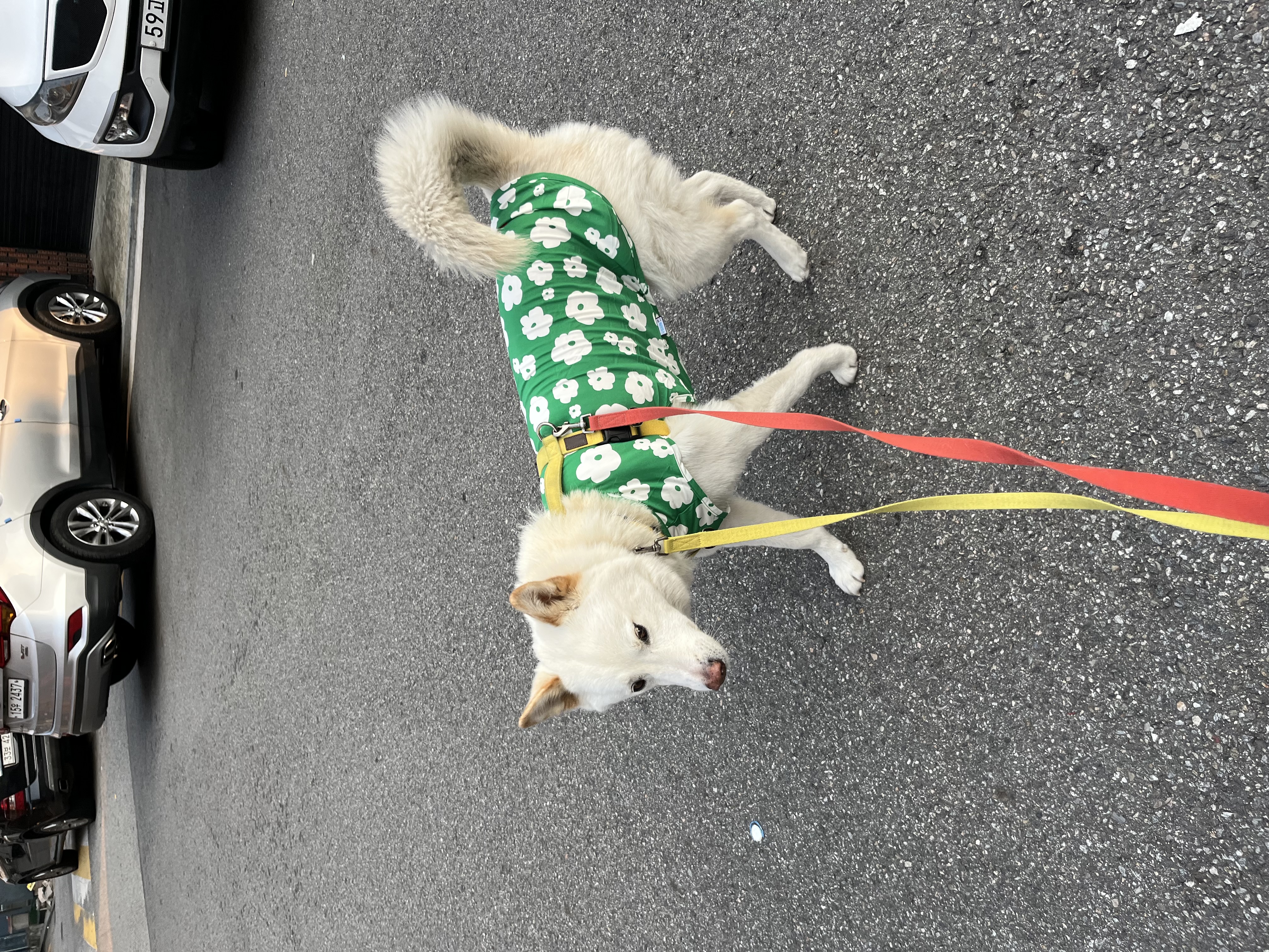 IMG_2901.jpeg