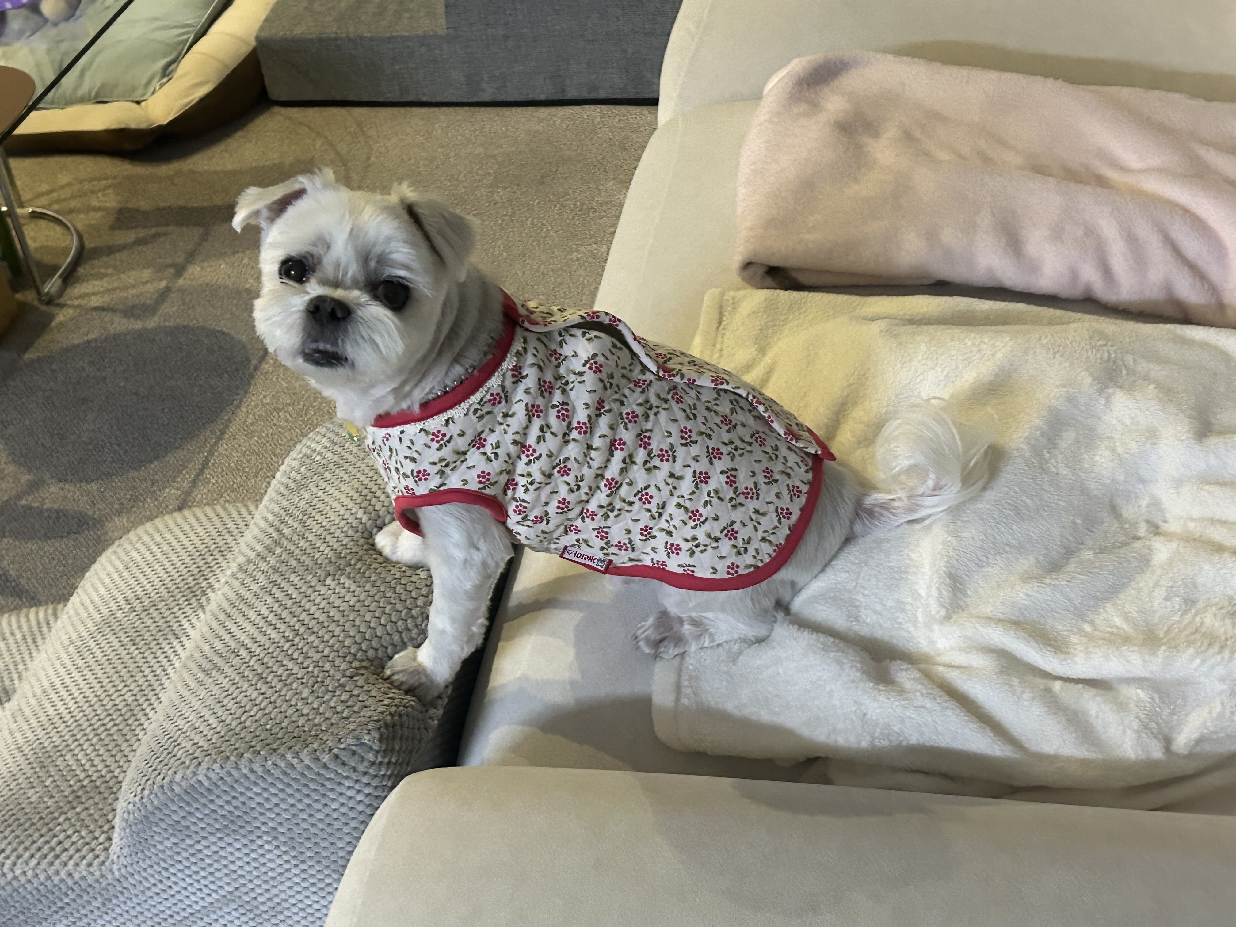 25년FW 출시<BR/>에어메리-김장조끼[ODA0005]