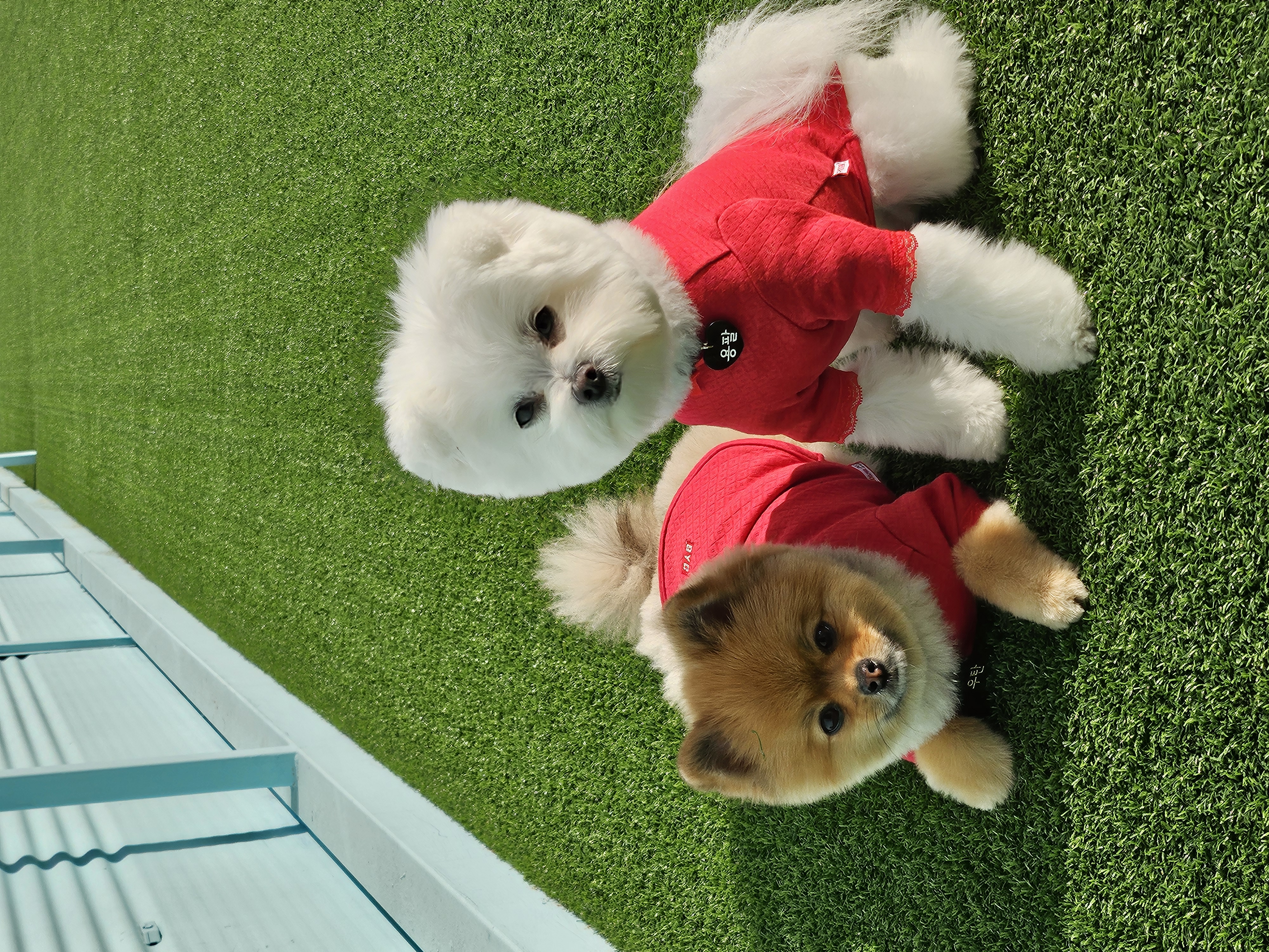 25년FW 출시<BR/>에어메리-빨간내복[ODA0003]