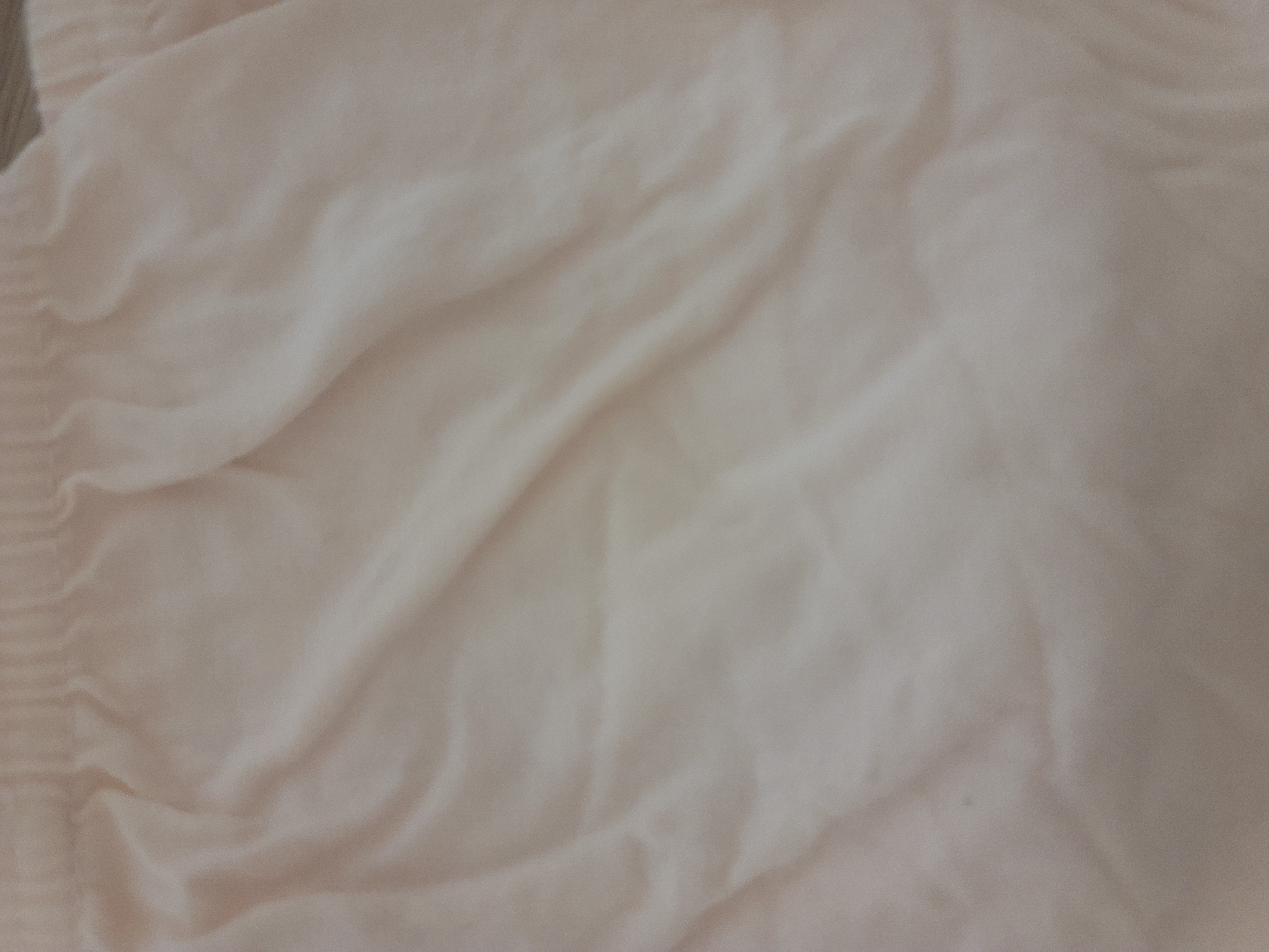 1780229673021.jpg