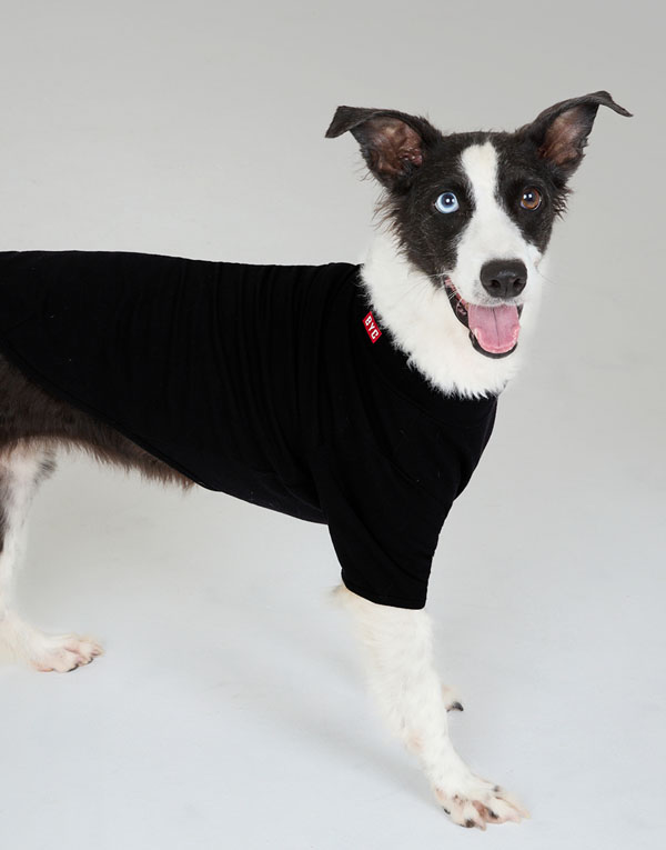 BYC개리야스<BR/>보디히트-모크넥[ODH0001]