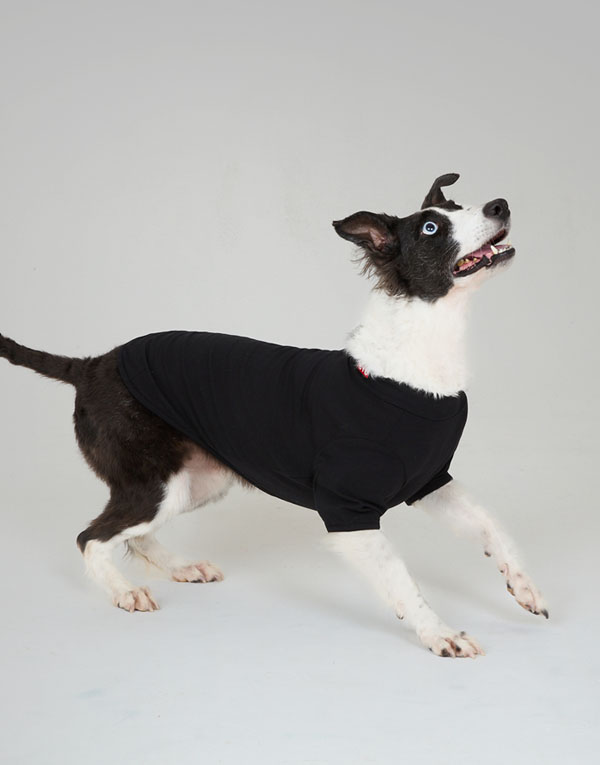 BYC개리야스<BR/>보디히트-모크넥[ODH0001]