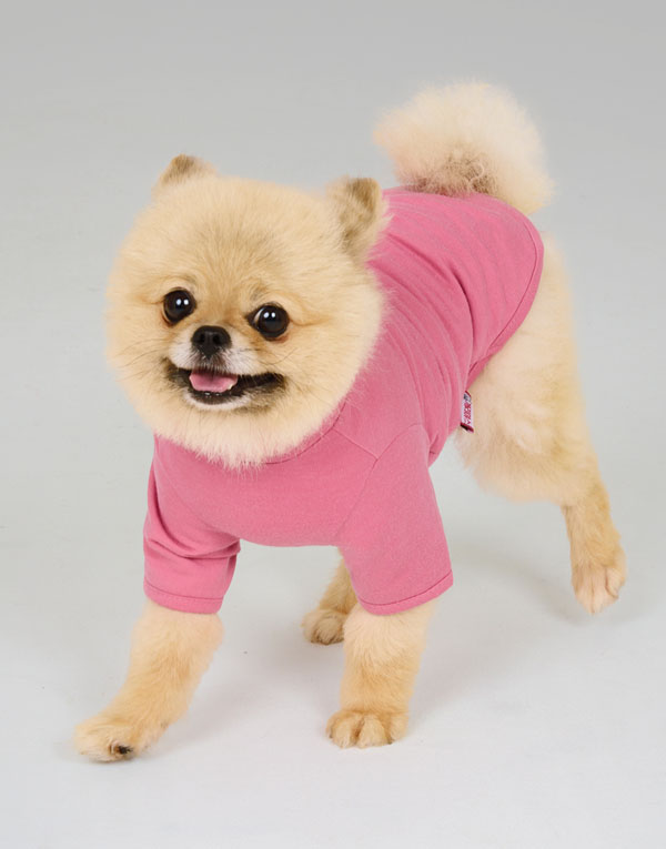 BYC개리야스<BR/>보디히트-모크넥[ODH0001]