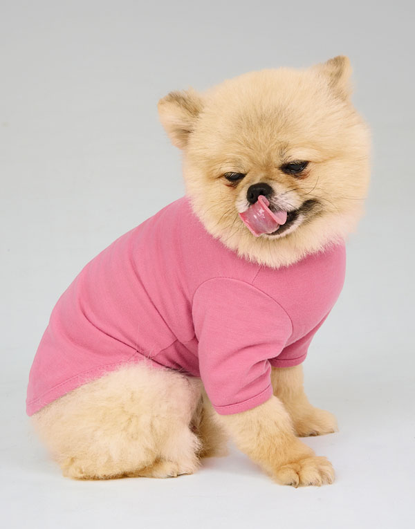 BYC개리야스<BR/>보디히트-모크넥[ODH0001]