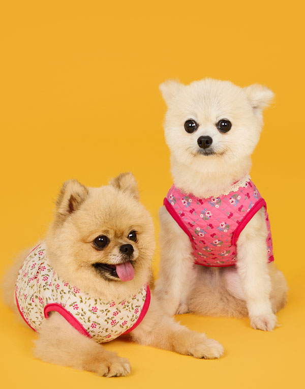 BYC개리야스<BR/>에어메리-김장조끼[ODA0005]