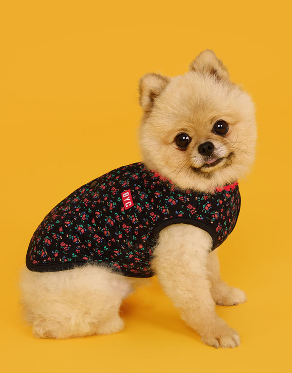 BYC개리야스<BR/>에어메리-김장조끼[ODA0005]