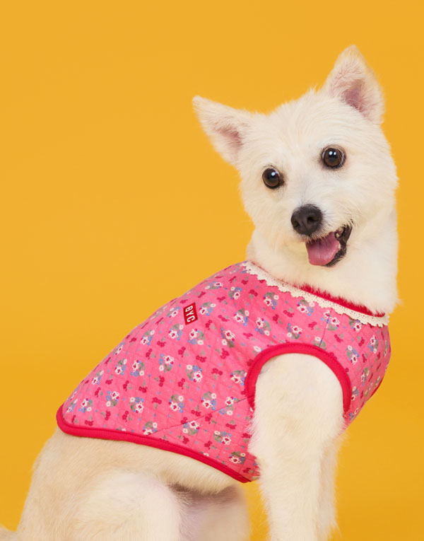 BYC개리야스<BR/>에어메리-김장조끼[ODA0005]