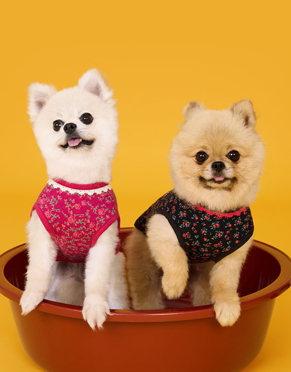 BYC개리야스<BR/>에어메리-김장조끼[ODA0005]