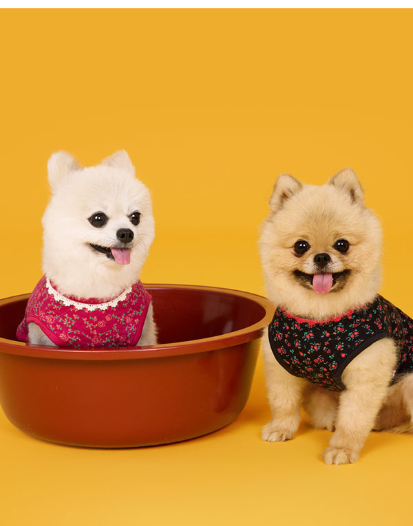 BYC개리야스<BR/>에어메리-김장조끼[ODA0005]