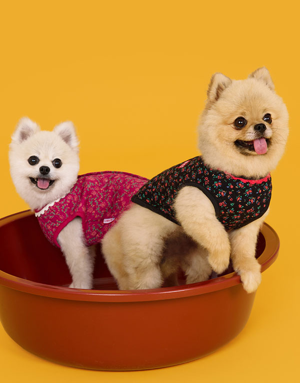 BYC개리야스<BR/>에어메리-김장조끼[ODA0005]