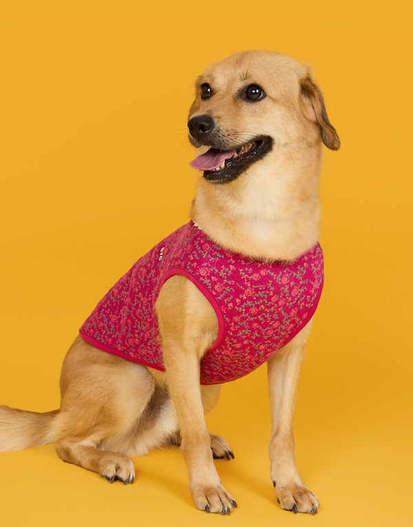 BYC개리야스<BR/>에어메리-김장조끼[ODA0005]