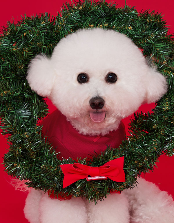 BYC개리야스<BR/>에어메리-빨간내복[ODA0003]