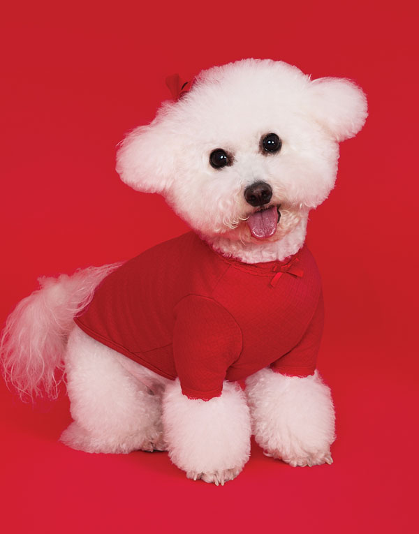 BYC개리야스<BR/>에어메리-빨간내복[ODA0003]