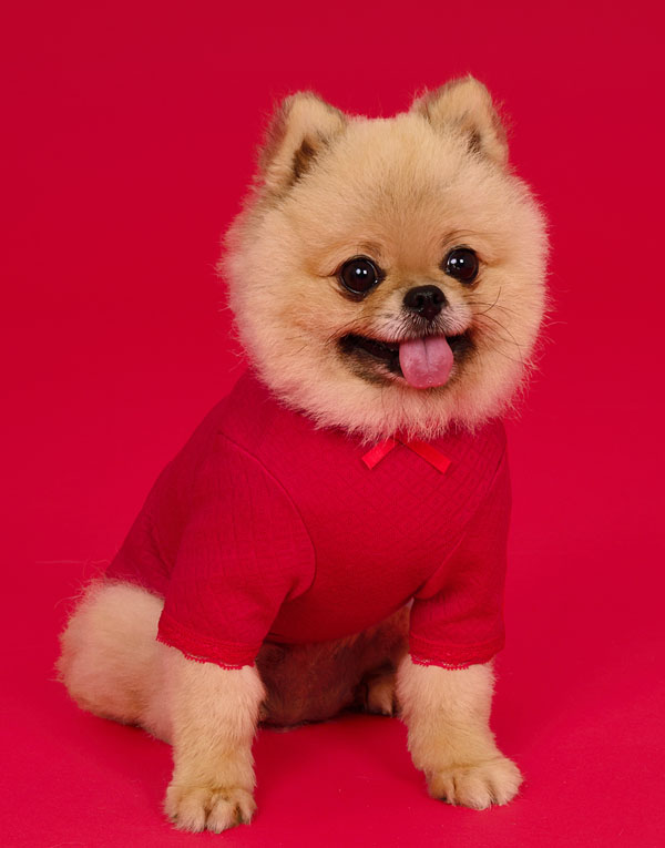 BYC개리야스<BR/>에어메리-빨간내복[ODA0003]