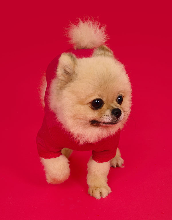 BYC개리야스<BR/>에어메리-빨간내복[ODA0003]