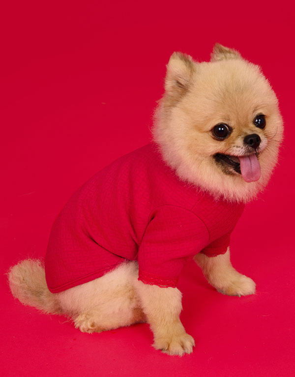 BYC개리야스<BR/>에어메리-빨간내복[ODA0003]