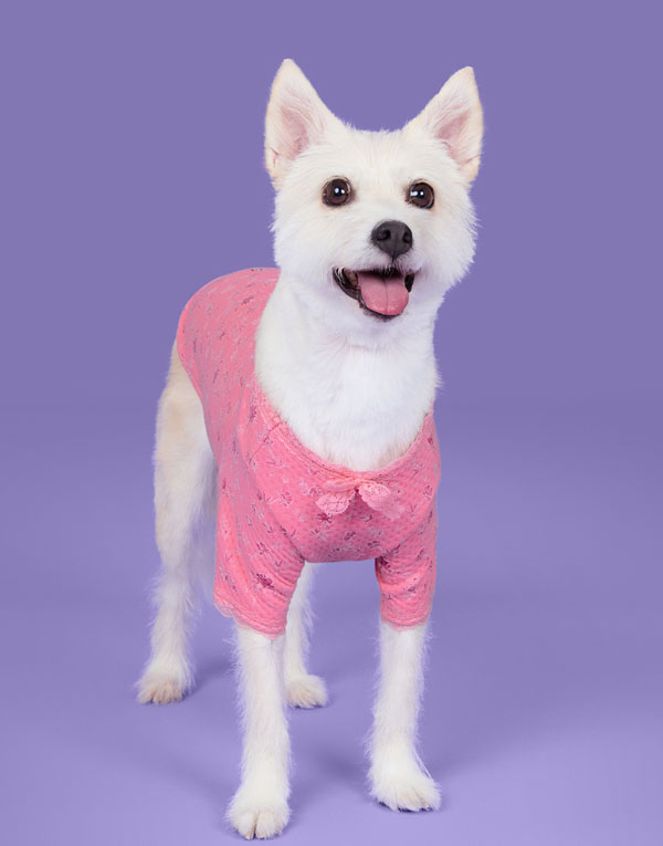 BYC개리야스<BR/>에어메리-할매내복[ODA0008]