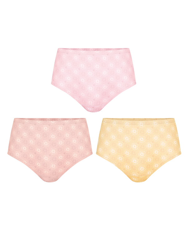 맥시여삼각(3매)[WCF5353]