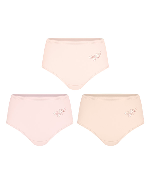 60수-맥시여삼각(3매)[WCP5366]