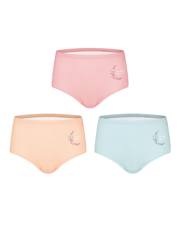 맥시여삼각(3매)[WCP5313]