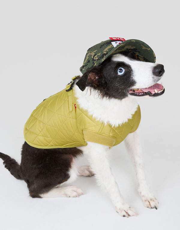 BYC개리야스<BR/>에어메리-깔깔이[ODF0001]