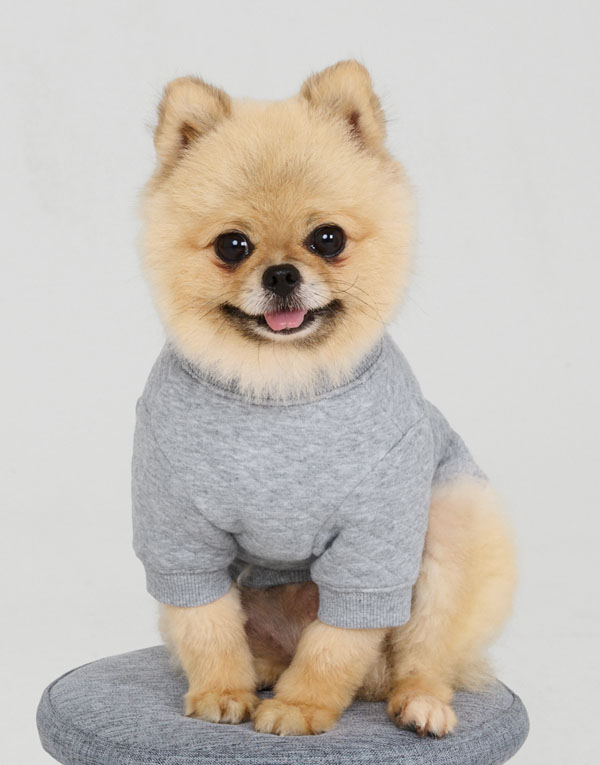 BYC개리야스<BR/>에어메리-맨투맨[ODA0012]