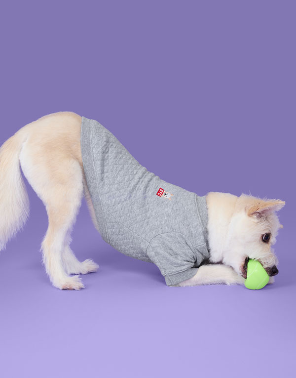 BYC개리야스<BR/>에어메리-맨투맨[ODA0012]