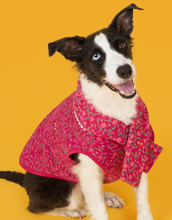 BYC개리야스<BR/>에어메리-목도리[ODA0011]