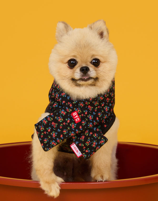 BYC개리야스<BR/>에어메리-목도리[ODA0011]