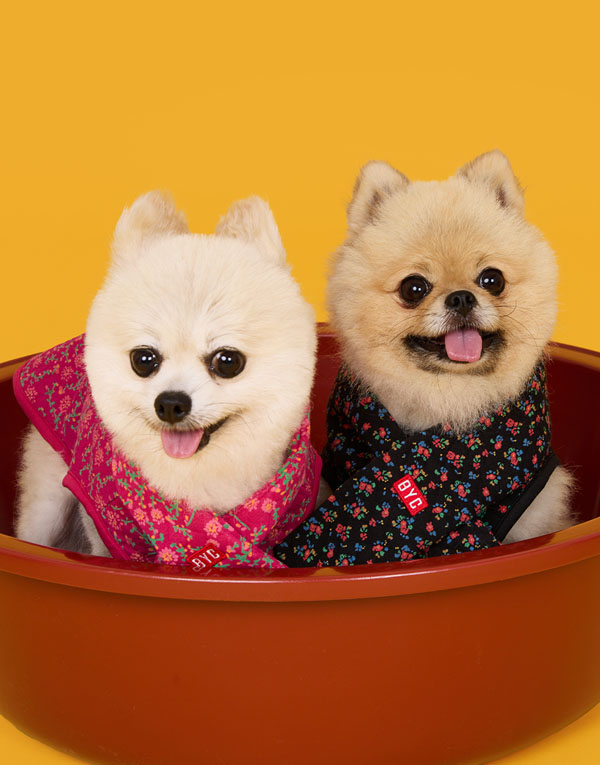 BYC개리야스<BR/>에어메리-목도리[ODA0011]