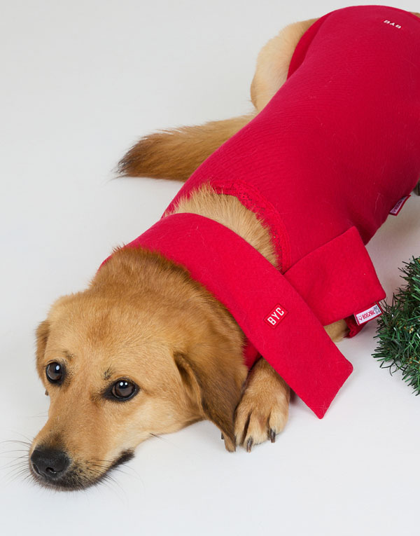 BYC개리야스<BR/>에어메리-목도리[ODA0011]