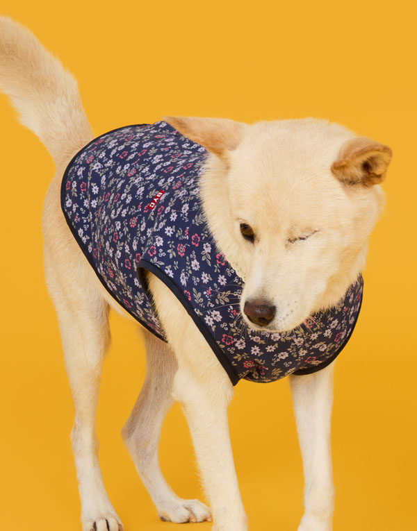 BYC개리야스<BR/>에어메리-기모김장조끼[ODA0010]