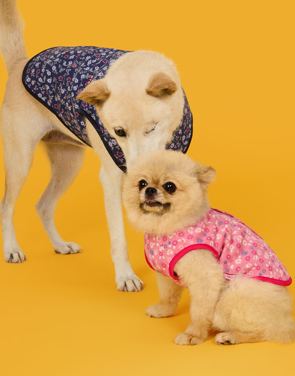 BYC개리야스<BR/>에어메리-기모김장조끼[ODA0010]