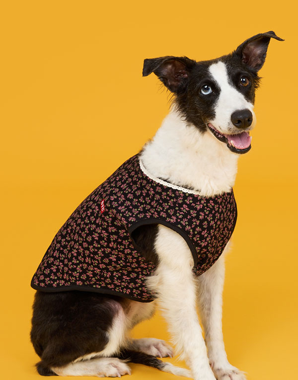 BYC개리야스<BR/>에어메리-기모김장조끼[ODA0010]