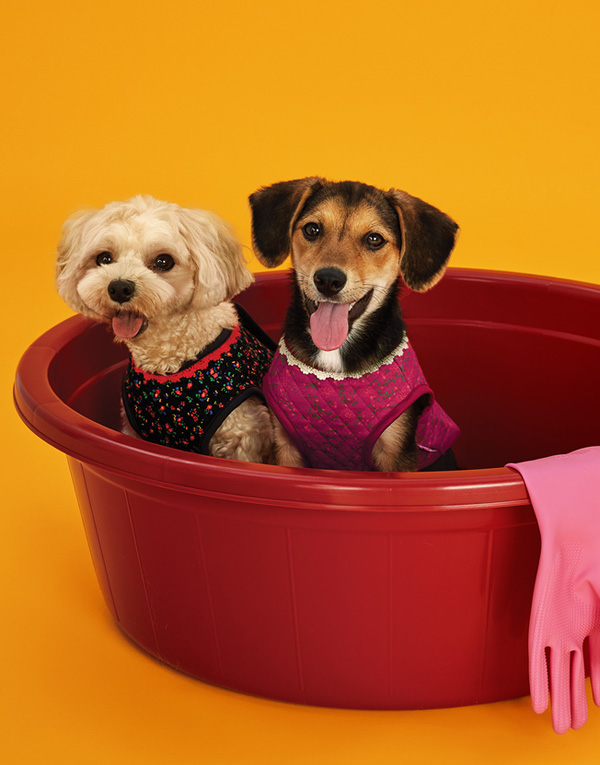 25년FW 출시<BR/>에어메리-김장조끼[ODA0005]