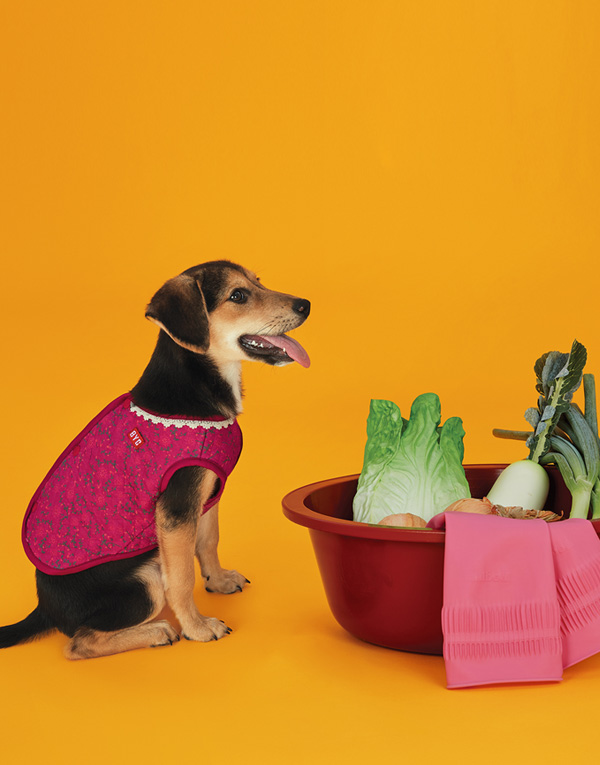 25년FW 출시<BR/>에어메리-김장조끼[ODA0005]