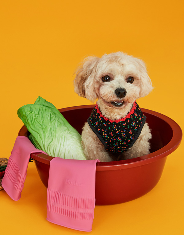 25년FW 출시<BR/>에어메리-김장조끼[ODA0005]