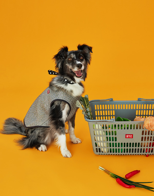 25년FW 출시<BR/>에어메리-김장조끼[ODA0005]