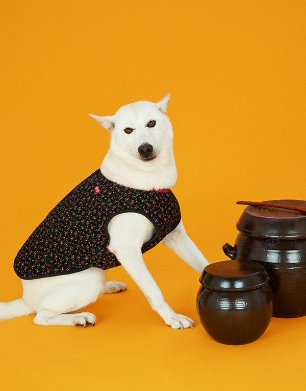 25년FW 출시<BR/>에어메리-김장조끼[ODA0005]