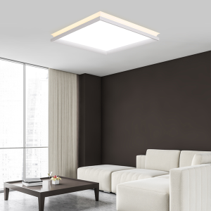 RAY(레이)LED 디밍 오로라 프로 거실 60W(안방겸용/리모컨타입)