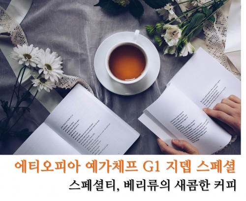 에티오피아 예가체프 G1 내츄럴 지뎁 스페셜 100g, 200g, 500g, 1kg