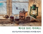 멕시코 SHG 치아파스 100g, 200g, 500g, 1kg