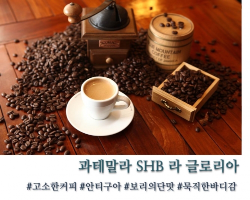 과테말라 SHB 안티구아 라 글로리아 100g, 200g, 500g, 1kg