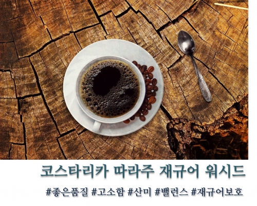 코스타리카 따라주 SHB 재규어 워시드 100g, 200g, 500g, 1kg