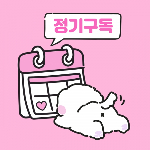 [정기구독][무료배송] 하얀하얀 주기설정 골라담기 (대/중/라 3팩 선택)